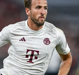 这不仅体现 这不仅体现