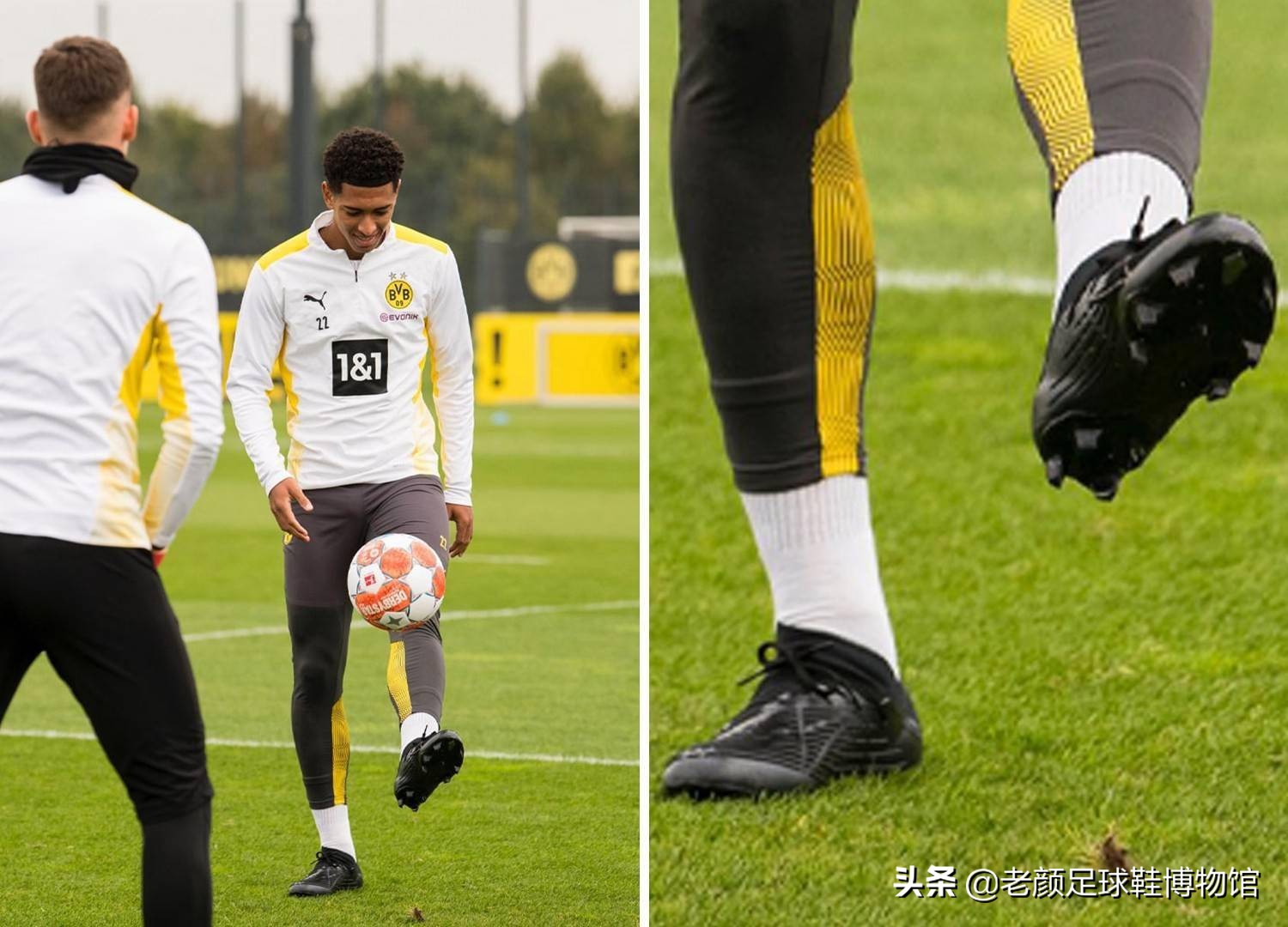 公牛队这场 公牛队这场