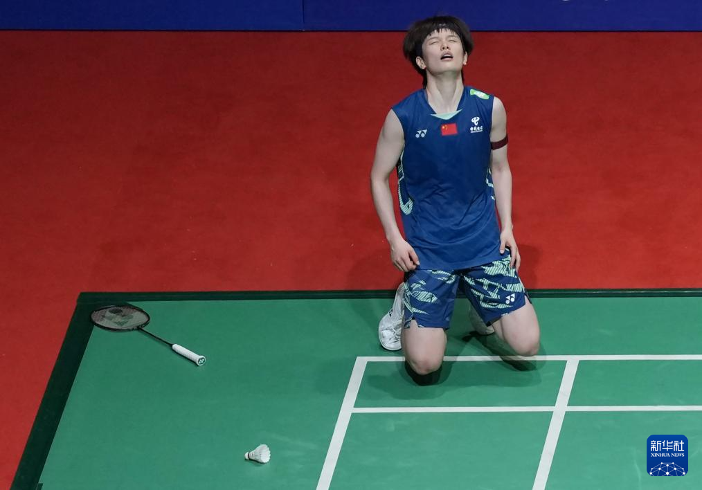 法国男篮主 法国男篮主